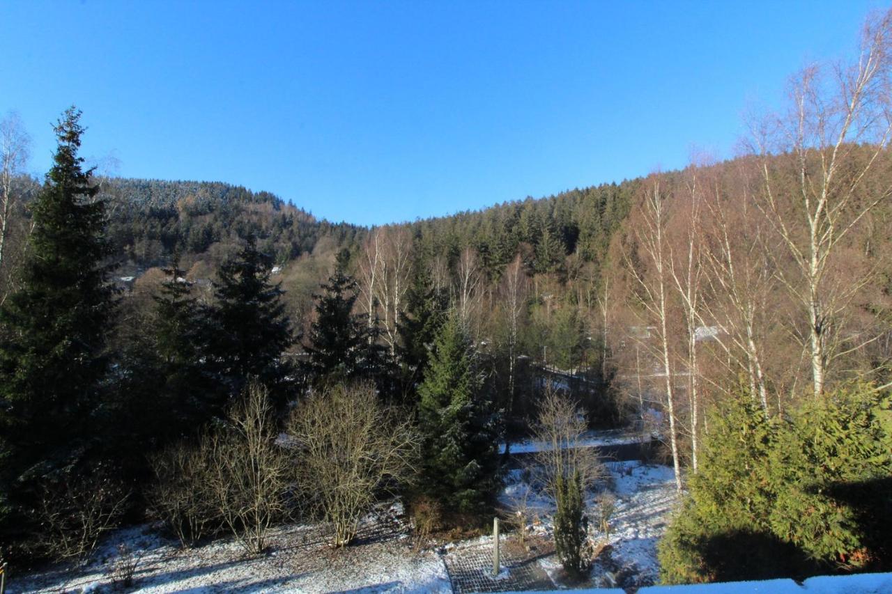 Home-Im-Harz Lautenthal المظهر الخارجي الصورة